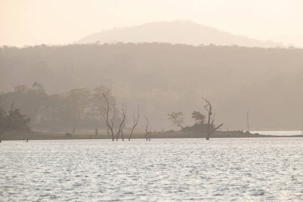 kabini backwaters in mysore