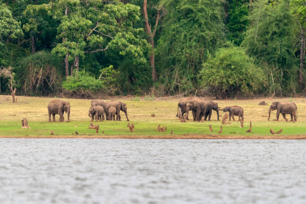 nagarhole national park near mysore